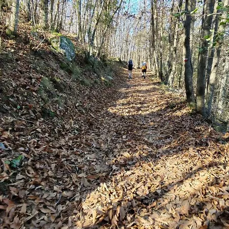 A Casa Di Gaia * Ricco del Golfo di Spezia